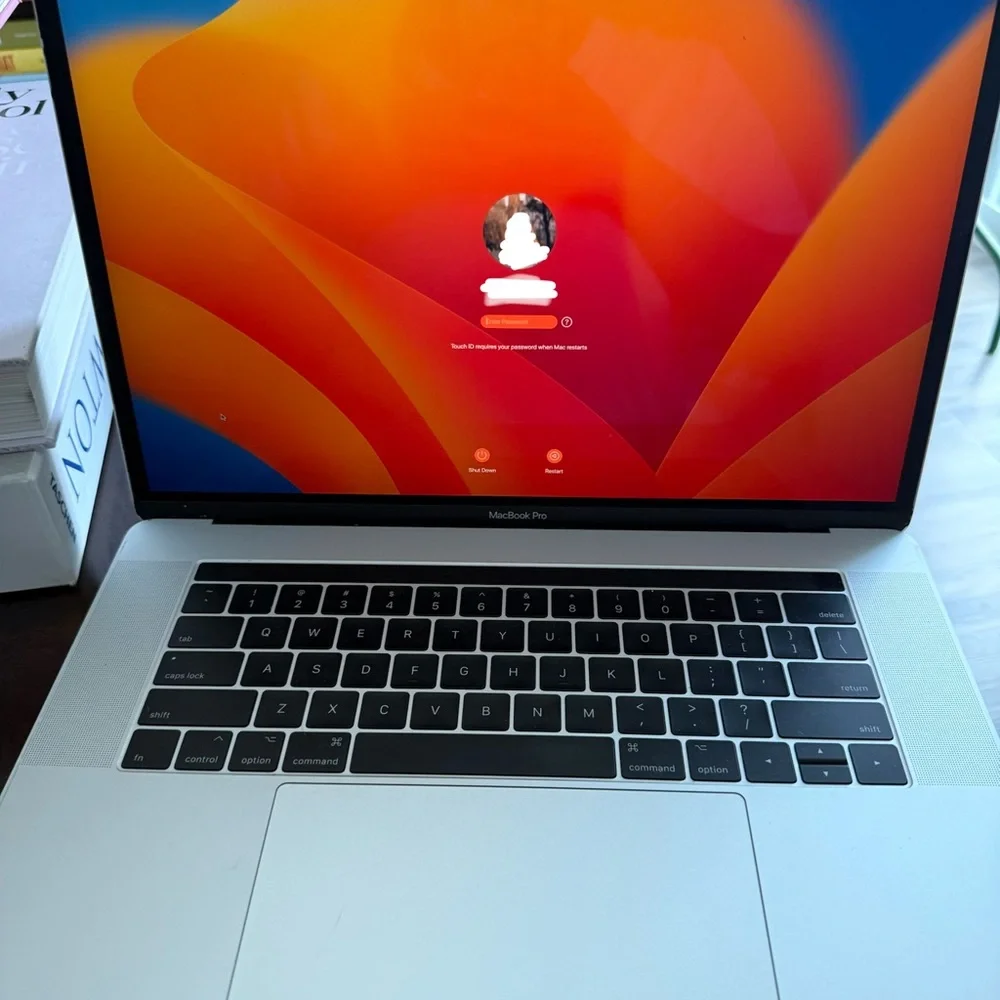 Macbook Pro laptop 250GB